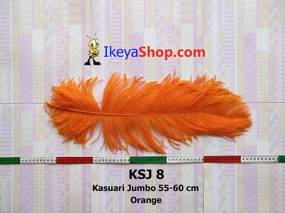 KSJ 8  large2